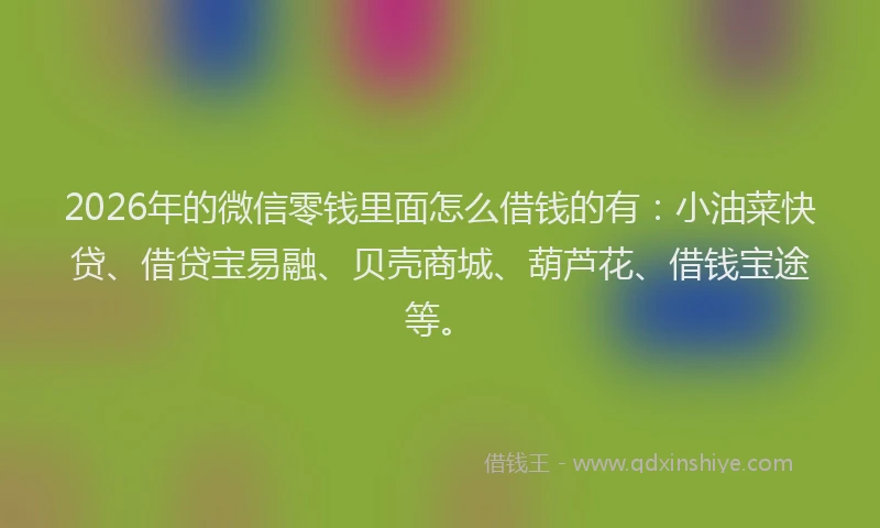 2026年的微信零钱里面怎么借钱的有：小油菜快贷、借贷宝易融、贝壳商城、葫芦花、借钱宝途等。
