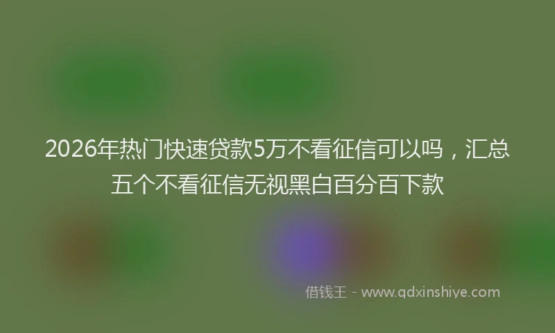 2026年热门快速贷款5万不看征信可以吗，汇总五个不看征信无视黑白百分百下款