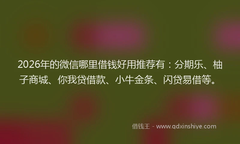 2026年的微信哪里借钱好用推荐有：分期乐、柚子商城、你我贷借款、小牛金条、闪贷易借等。