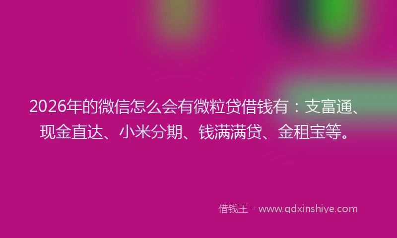 2026年的微信怎么会有微粒贷借钱有：支富通、现金直达、小米分期、钱满满贷、金租宝等。