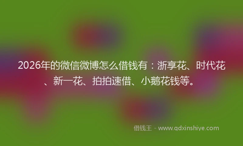 2026年的微信微博怎么借钱有：浙享花、时代花、新一花、拍拍速借、小鹅花钱等。