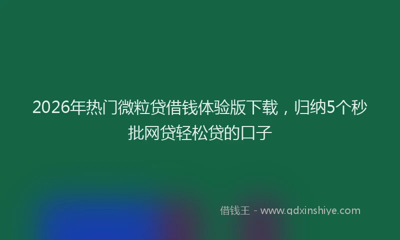 2026年热门微粒贷借钱体验版下载，归纳5个秒批网贷轻松贷的口子