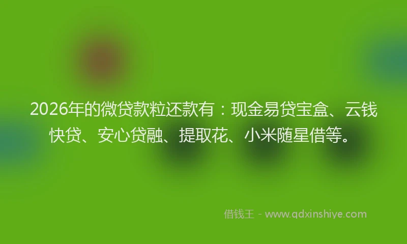 2026年的微贷款粒还款有:现金易贷宝盒、云钱快贷、安心贷融、提取花、小米随星借等。