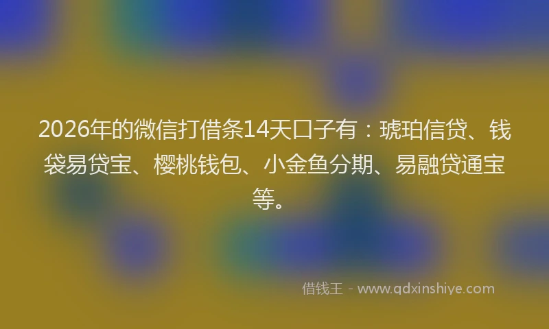 2026年的微信打借条14天口子有：琥珀信贷、钱袋易贷宝、樱桃钱包、小金鱼分期、易融贷通宝等。