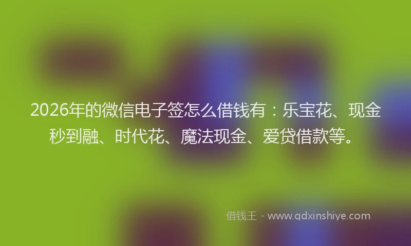 2026年的微信电子签怎么借钱有：乐宝花、现金秒到融、时代花、魔法现金、爱贷借款等。