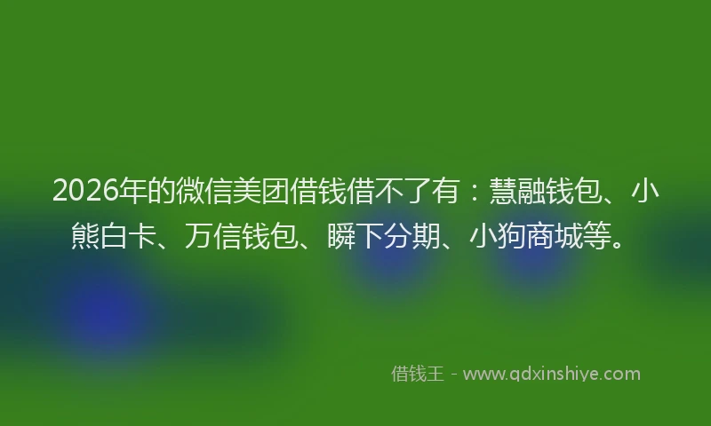 2026年的微信美团借钱借不了有：慧融钱包、小熊白卡、万信钱包、瞬下分期、小狗商城等。
