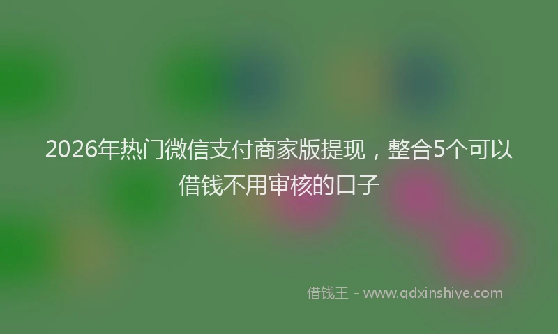 2026年热门微信支付商家版提现，整合5个可以借钱不用审核的口子