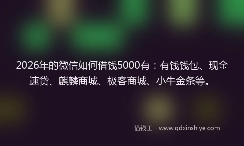 2026年的微信如何借钱5000有:有钱钱包、现金速贷、麒麟商城、极客商城、小牛金条等。