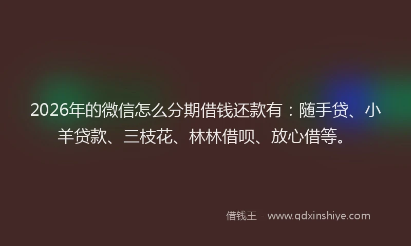2026年的微信怎么分期借钱还款有：随手贷、小羊贷款、三枝花、林林借呗、放心借等。