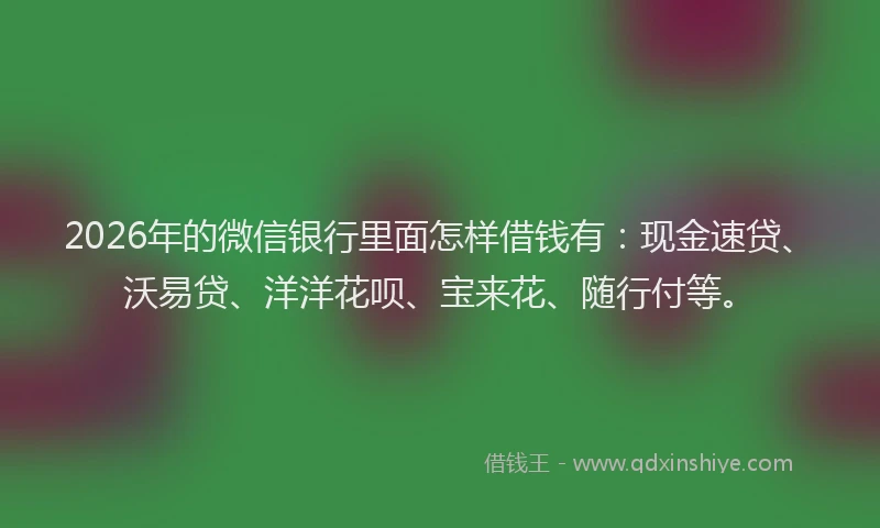 2026年的微信银行里面怎样借钱有：现金速贷、沃易贷、洋洋花呗、宝来花、随行付等。