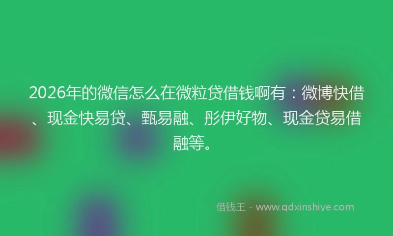2026年的微信怎么在微粒贷借钱啊有:微博快借、现金快易贷、甄易融、彤伊好物、现金贷易借融等。