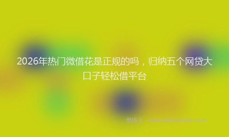 2026年热门微借花是正规的吗，归纳五个网贷大口子轻松借平台