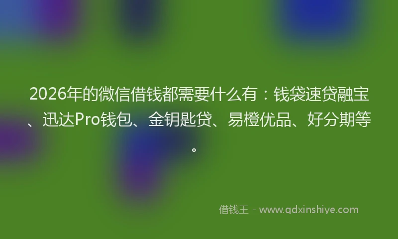 2026年的微信借钱都需要什么有：钱袋速贷融宝、迅达Pro钱包、金钥匙贷、易橙优品、好分期等。