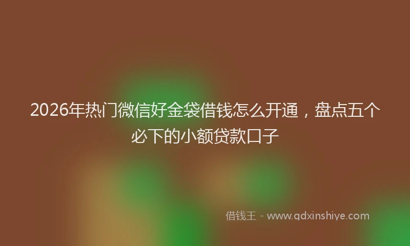 2026年热门微信好金袋借钱怎么开通，盘点五个必下的小额贷款口子