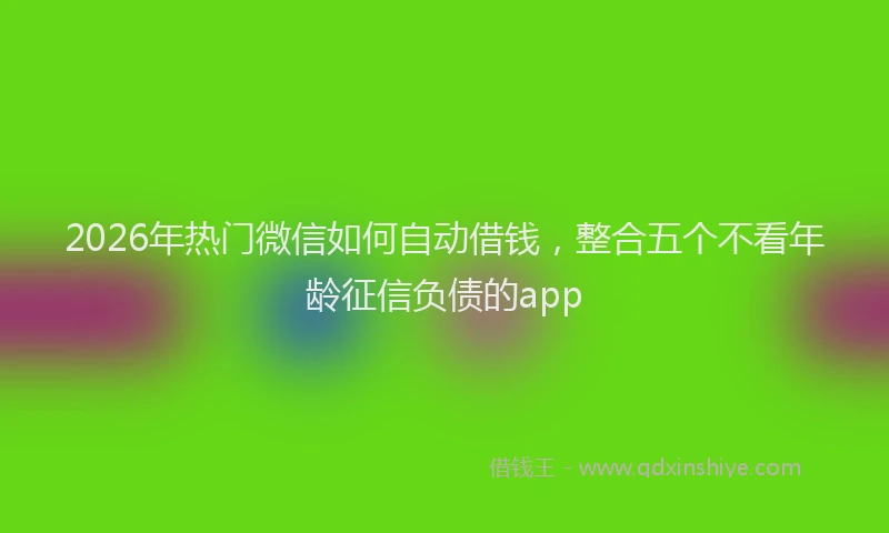 2026年热门微信如何自动借钱,整合五个不看年龄征信负债的app