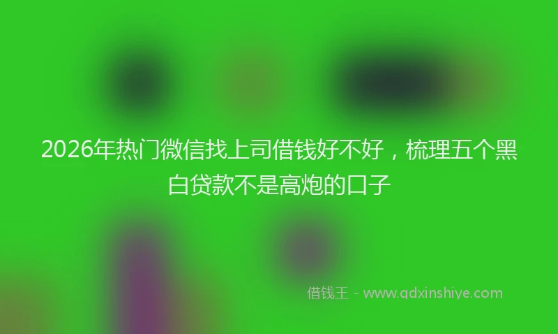2026年热门微信找上司借钱好不好，梳理五个黑白贷款不是高炮的口子