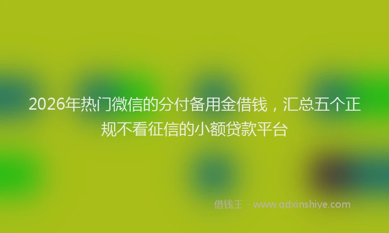 2026年热门微信的分付备用金借钱，汇总五个正规不看征信的小额贷款平台