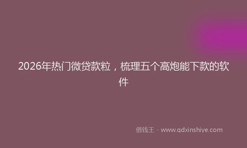 2026年热门微贷款粒,梳理五个高炮能下款的软件