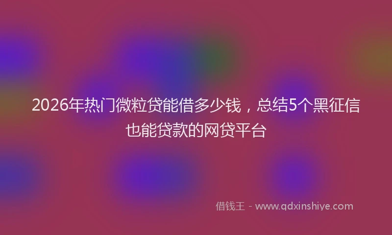 2026年热门微粒贷能借多少钱，总结5个黑征信也能贷款的网贷平台