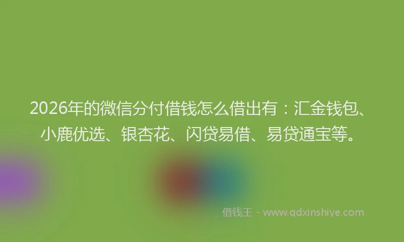 2026年的微信分付借钱怎么借出有：汇金钱包、小鹿优选、银杏花、闪贷易借、易贷通宝等。