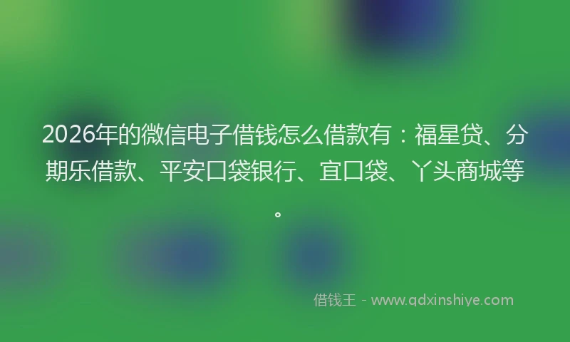 2026年的微信电子借钱怎么借款有：福星贷、分期乐借款、平安口袋银行、宜口袋、丫头商城等。