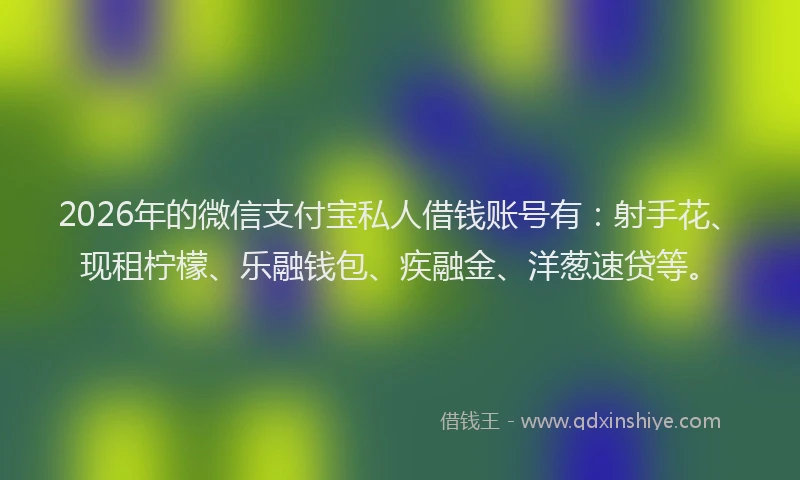2026年的微信支付宝私人借钱账号有：射手花、现租柠檬、乐融钱包、疾融金、洋葱速贷等。