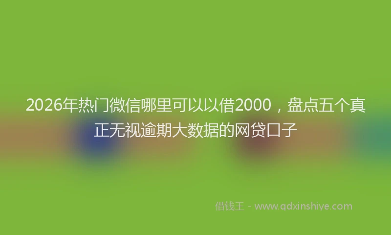 2026年热门微信哪里可以以借2000，盘点五个真正无视逾期大数据的网贷口子
