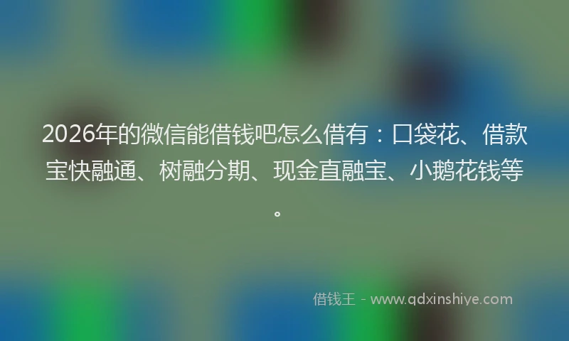 2026年的微信能借钱吧怎么借有：口袋花、借款宝快融通、树融分期、现金直融宝、小鹅花钱等。