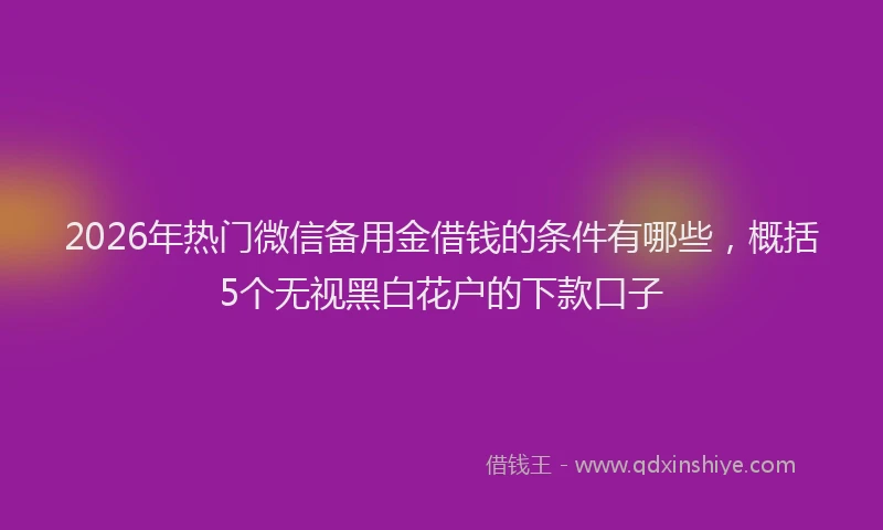 2026年热门微信备用金借钱的条件有哪些，概括5个无视黑白花户的下款口子
