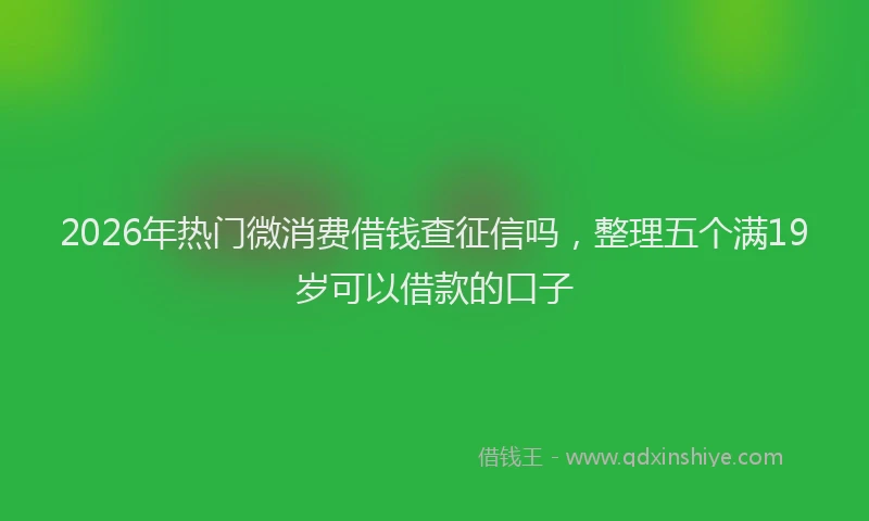 2026年热门微消费借钱查征信吗，整理五个满19岁可以借款的口子