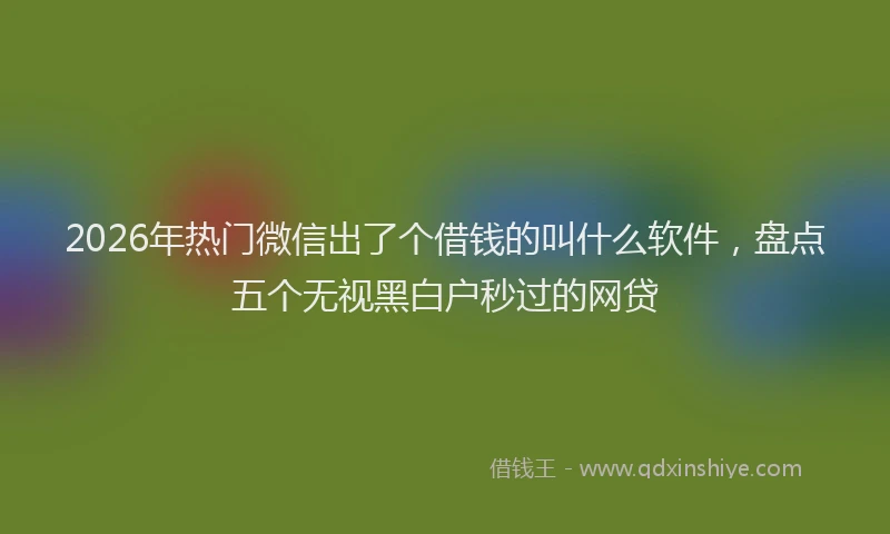 2026年热门微信出了个借钱的叫什么软件，盘点五个无视黑白户秒过的网贷