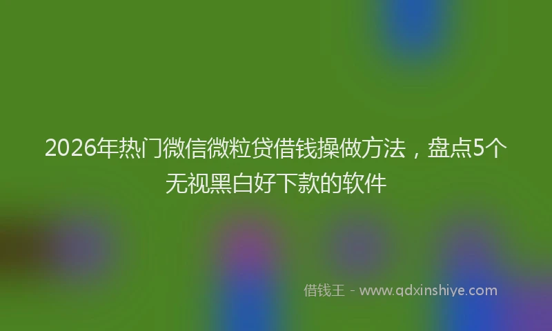 2026年热门微信微粒贷借钱操做方法，盘点5个无视黑白好下款的软件
