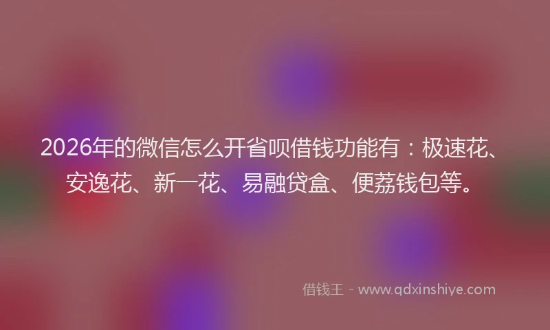 2026年的微信怎么开省呗借钱功能有：极速花、安逸花、新一花、易融贷盒、便荔钱包等。