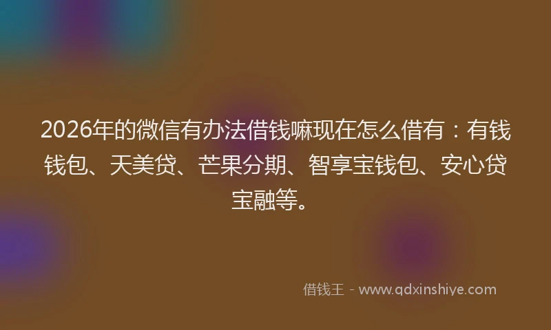 2026年的微信有办法借钱嘛现在怎么借有:有钱钱包、天美贷、芒果分期、智享宝钱包、安心贷宝融等。