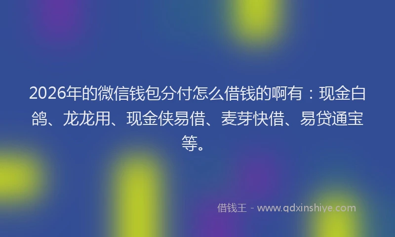 2026年的微信钱包分付怎么借钱的啊有：现金白鸽、龙龙用、现金侠易借、麦芽快借、易贷通宝等。