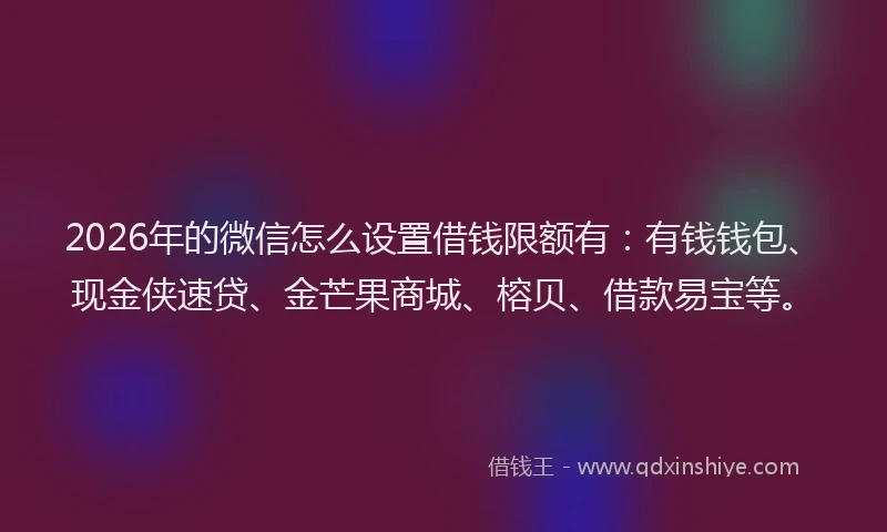 2026年的微信怎么设置借钱限额有：有钱钱包、现金侠速贷、金芒果商城、榕贝、借款易宝等。