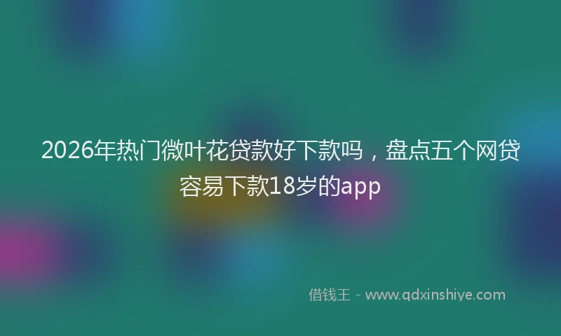 2026年热门微叶花贷款好下款吗，盘点五个网贷容易下款18岁的app