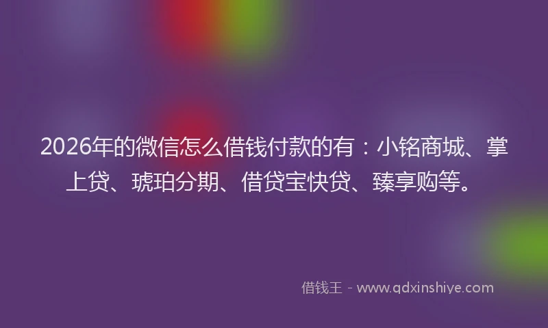 2026年的微信怎么借钱付款的有：小铭商城、掌上贷、琥珀分期、借贷宝快贷、臻享购等。