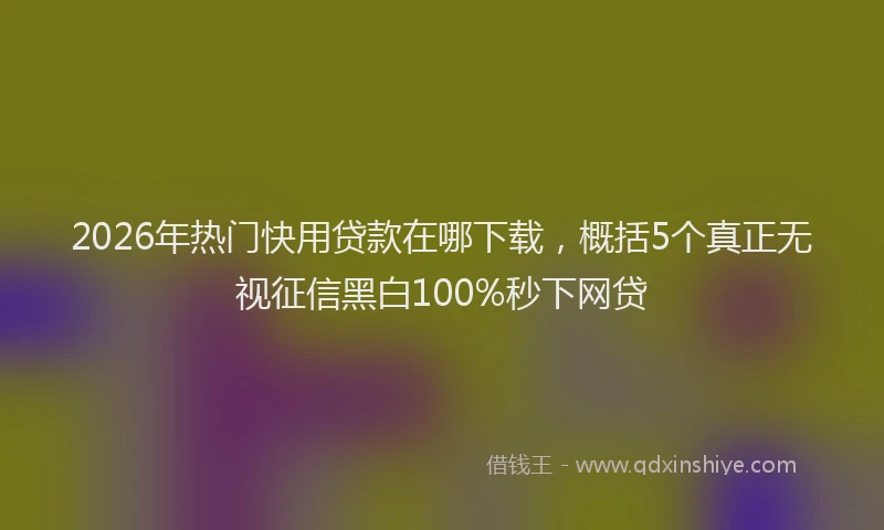 2026年热门快用贷款在哪下载，概括5个真正无视征信黑白100%秒下网贷