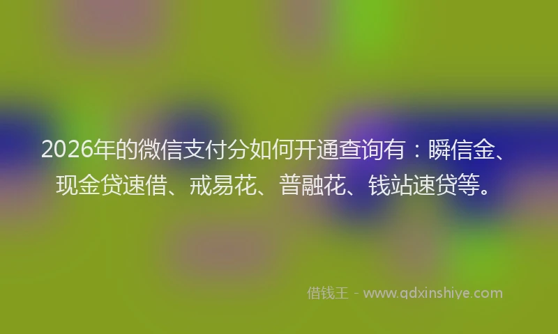 2026年的微信支付分如何开通查询有：瞬信金、现金贷速借、戒易花、普融花、钱站速贷等。