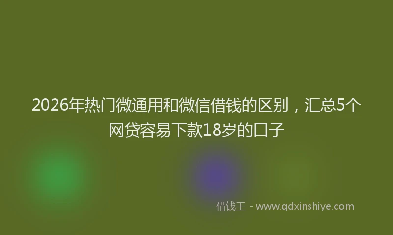 2026年热门微通用和微信借钱的区别，汇总5个网贷容易下款18岁的口子