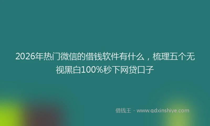 2026年热门微信的借钱软件有什么，梳理五个无视黑白100%秒下网贷口子