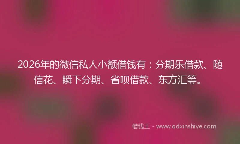 2026年的微信私人小额借钱有：分期乐借款、随信花、瞬下分期、省呗借款、东方汇等。