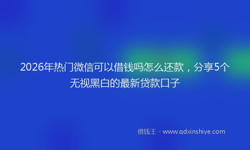 2026年热门微信可以借钱吗怎么还款，分享5个无视黑白的最新贷款口子
