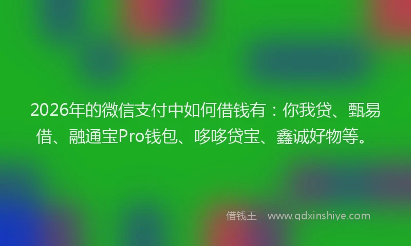 2026年的微信支付中如何借钱有:你我贷、甄易借、融通宝Pro钱包、哆哆贷宝、鑫诚好物等。