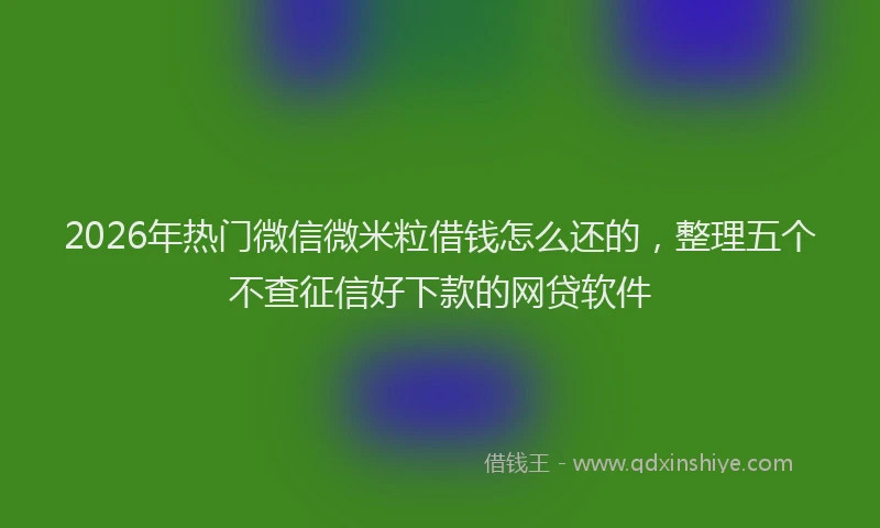 2026年热门微信微米粒借钱怎么还的，整理五个不查征信好下款的网贷软件