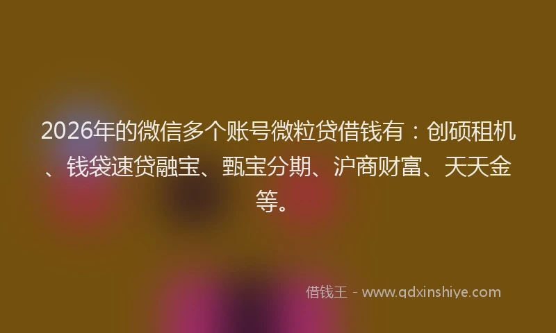 2026年的微信多个账号微粒贷借钱有:创硕租机、钱袋速贷融宝、甄宝分期、沪商财富、天天金等。