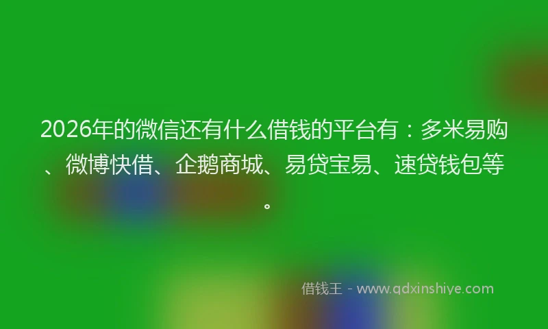 2026年的微信还有什么借钱的平台有：多米易购、微博快借、企鹅商城、易贷宝易、速贷钱包等。