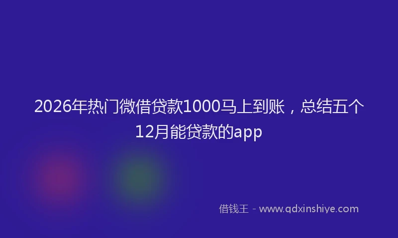2026年热门微借贷款1000马上到账，总结五个12月能贷款的app