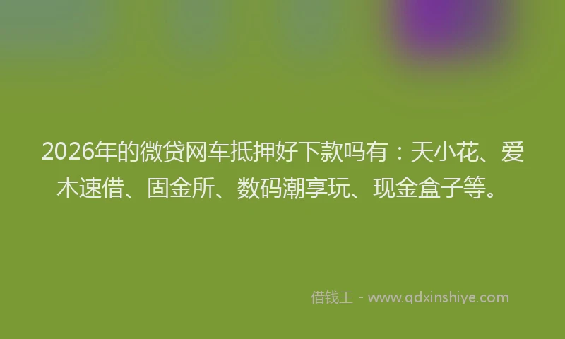 2026年的微贷网车抵押好下款吗有：天小花、爱木速借、固金所、数码潮享玩、现金盒子等。